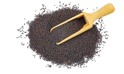 black mustard seeds health benefits and important facts